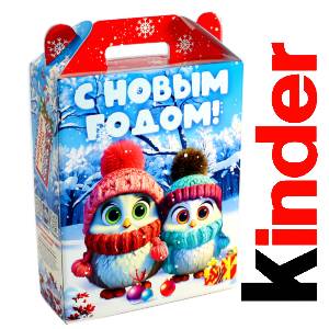 Детский подарок на Новый Год в жестяной упаковке весом 830 грамм по цене 3297 руб в Дубне